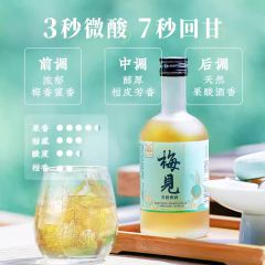 青柑梅见梅酒14度330ml女士低度微醺梅子酒晚安果酒