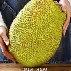  越南进口红肉菠萝蜜8-17斤一整个红心波罗蜜当季新鲜水果整箱包邮